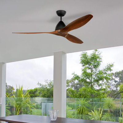 Ceiling Fans